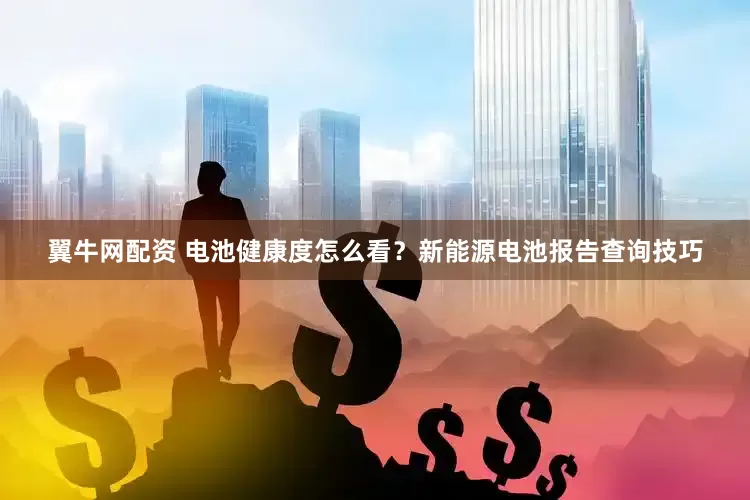 翼牛网配资 电池健康度怎么看？新能源电池报告查询技巧