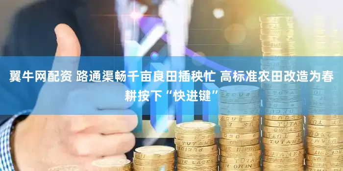翼牛网配资 路通渠畅千亩良田插秧忙 高标准农田改造为春耕按下“快进键”