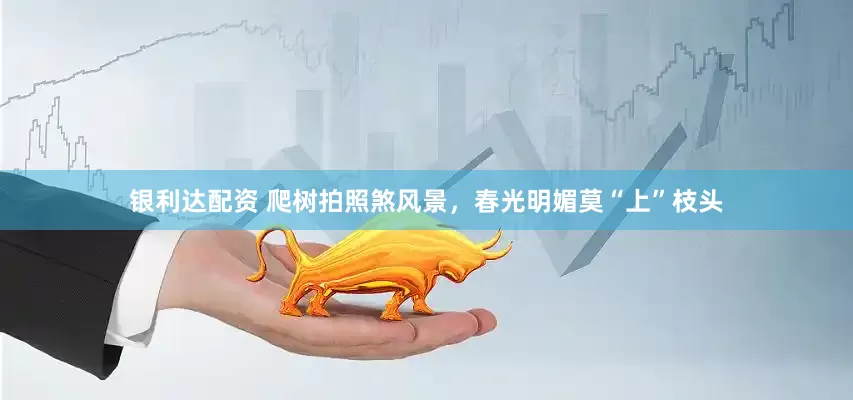 银利达配资 爬树拍照煞风景，春光明媚莫“上”枝头