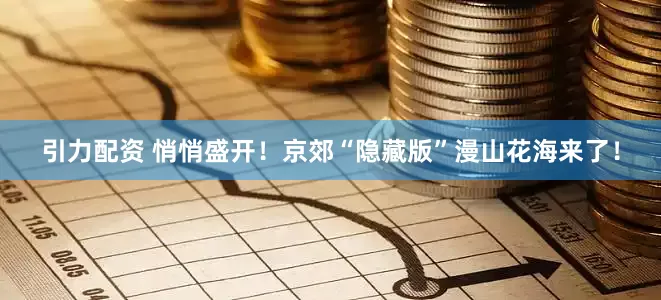 引力配资 悄悄盛开！京郊“隐藏版”漫山花海来了！
